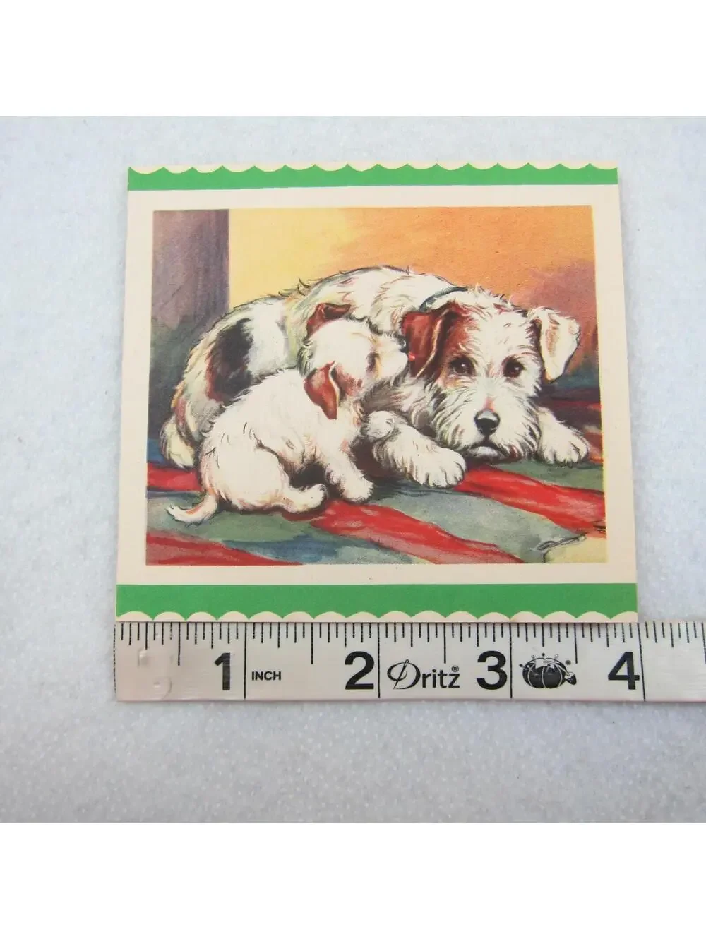 Vintage Schnauzer Terrier Dog Mother Puppy Animals Pets Affection Card Art Print
